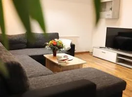Ferienwohnung am Herzplatz