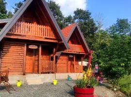 Seoski Turizam Feniks - apartman Ostrog