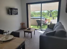 Gîte tout confort avec spa, PMR, clim' réversible, randonnées, activités et spécialités locales - FR-1-489-476