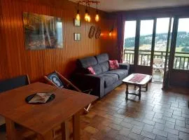 Appartement chalet en plein centre des Saisies