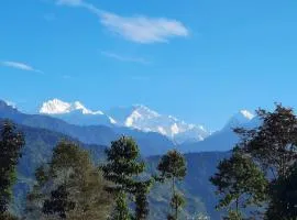 Red Panda Jungle Camp - A Unit of Davinchi Homes Pvt Ltd