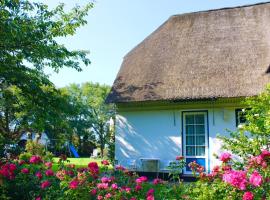 Traumstrasse, vacation rental in Witsum