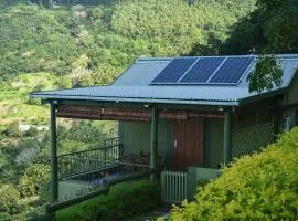 The Green Shack