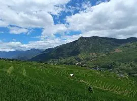 Sapa terraces