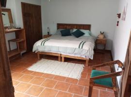 Casa Macetas, habitació en una casa particular a San Miguel de Allende