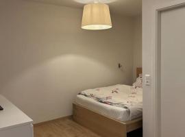 라인펠덴에 위치한 아파트 Boardinghouse Rheinfelden 1