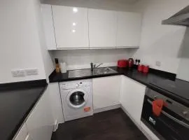 Vetrelax Basildon City Apartment