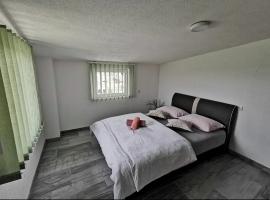 Gostionica Kod Krlje, hotel in Nova Topola