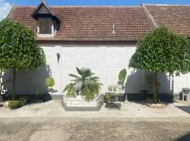 VIKI apartman