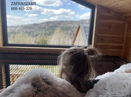 Modrzewiowe Domki w Koszarawie，位于Koszarawa的别墅