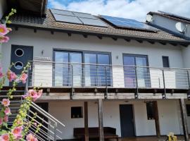 Ferienwohnung mit Balkon, cheap hotel in Oberelsbach
