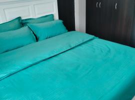 Stefan Apart Iași centru Palas，位于雅西的度假短租房