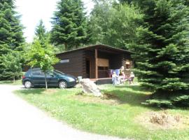 Nice house with sauna and steam bath in a forest, location de vacances à Sellerich