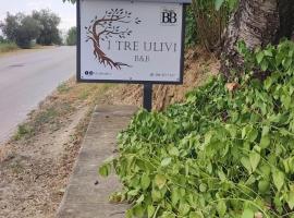 B&B I Tre Ulivi: Morro dʼOro'da bir ucuz otel