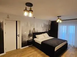 Apartament Zorilor
