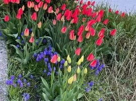 Haus am Kastanienwald