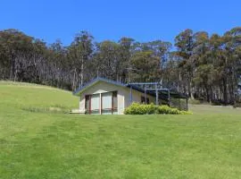 Cherryview Cygnet