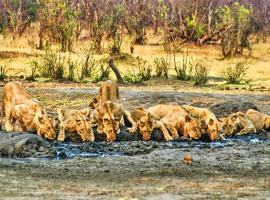 Room in Villa - Zambezi Family Lodge - Elephant Room, hotel in Victoria Falls