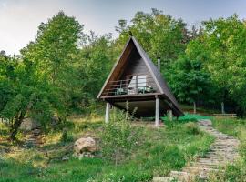 Open View Place The A Frame, Hotel in Scăricica