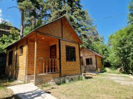 Cottages in forest, hotel in Sighnaghi