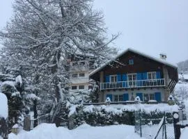 Auron Chalet Casanova centre et pistes à pied