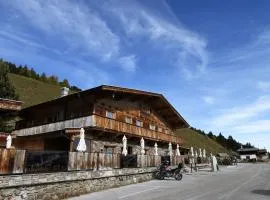 New holiday home on the Alm with terrace and balcony