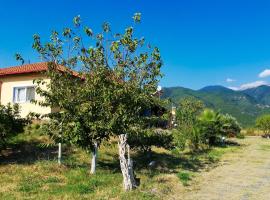 Villa Zerva, kaimo turizmo sodyba mieste Leptokarija