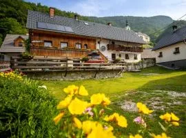 Apartments Kocjanc