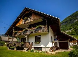 Apartment and room Mateja Kovačič