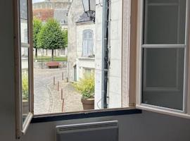 Appartement cœur de ville, aluguel de temporada em Châtillon-sur-Indre