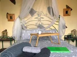 CASA RURAL CANARIA HOMBRE DE PALO