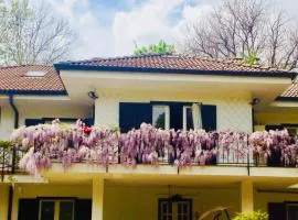 B&B La libellula