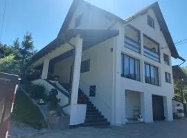 Vila vio