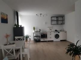 JOREDA apartamentai: Biržai şehrinde bir kiralık tatil yeri