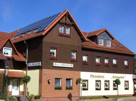 Pension Königshof، مكان مبيت وإفطار في Königshütte
