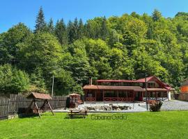 Cabana Ovidiu, parkimisega hotell sihtkohas Rau Sadului