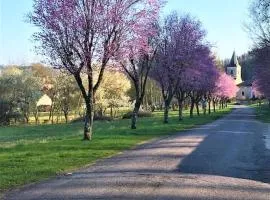 La MUSARDIERE Gîte paisible à la campagne