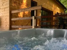 Apartament deluxe z jacuzzi w drzewach