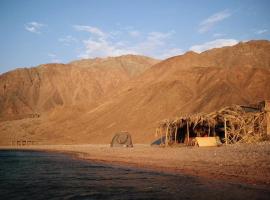 Fully equipped Remote off-grid Solar Wooden Home, campground in Dahab