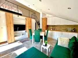 Apartman Viny, παραθεριστική κατοικία σε Soko Banja