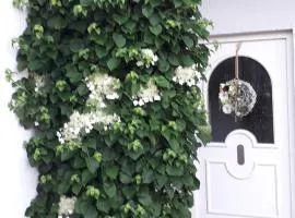 Ferienwohnung Gogelhopf EG