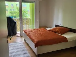 3 Zimmer Wohnung mit 2 Schlafzimmer Wohnzimmer Küche in Neu Ulm