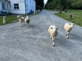 Gurteen farm house, pet-friendly hotel in Clonmel