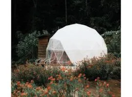A'moss Farmstay