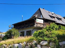 Draxlerhaus, hotel in Hohentauern