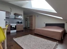 Apartments near Noblessner