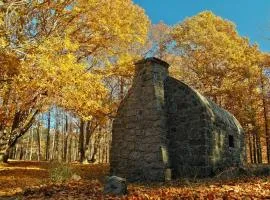 GREDOS RURALRUT muy cerca del famoso CASTAÑAR de El Tiemblo y Reserva Natural VALLE DE IRUELAS, alojamiento acogedor con cabina hidromasaje, chimenea eléctrica, calefacción, wifi, cocina