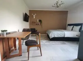 Motyl Apartamenty Studio lub pokój z łazienką