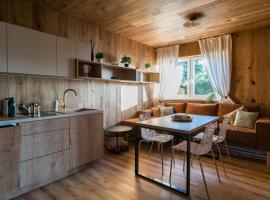 Unique Lipno Apartment, ubytování v soukromí na pláži v destinaci Černá v Pošumaví