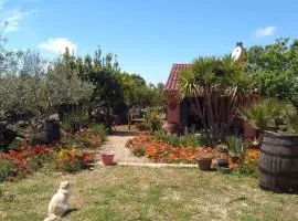 Villa Anna